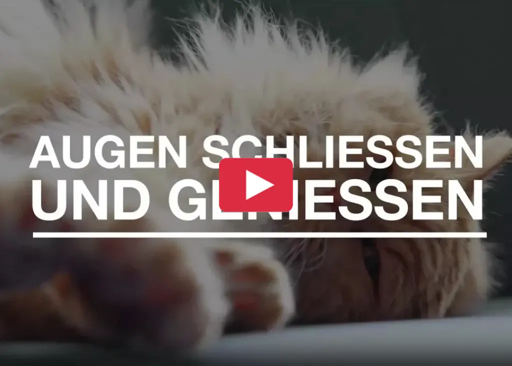 Global Comfort Cornella Plus Video